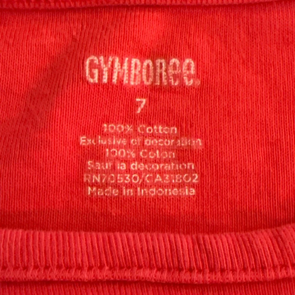 Gymboree girls short sleeve pink tee 7